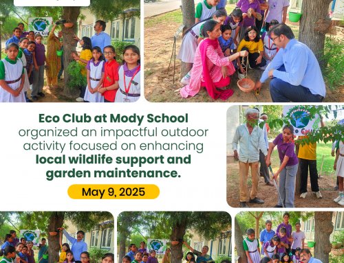 ECO CLUB OUTDOOR ACTIVITY | NURTURING NATURE TOGETHER